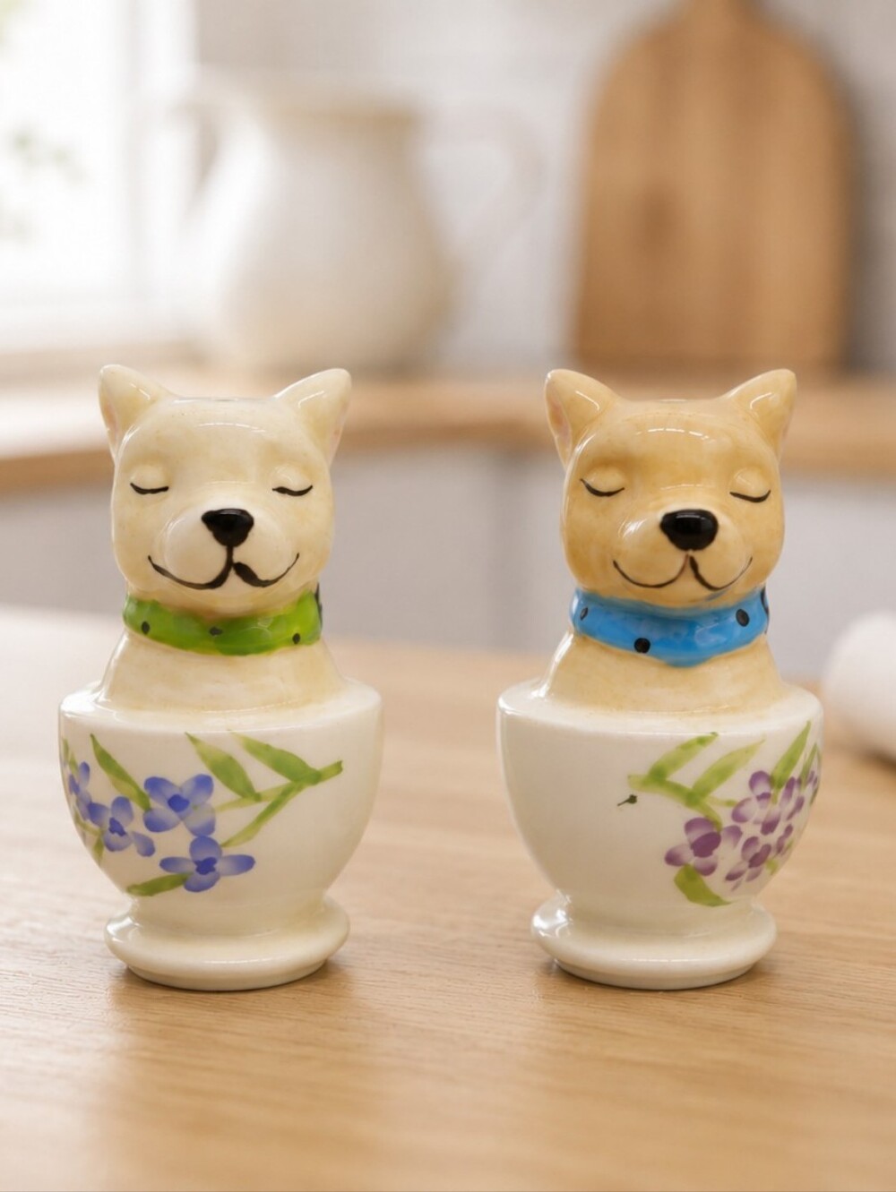 NWT Glazed Ceramic Salt and  Pepper Shakers